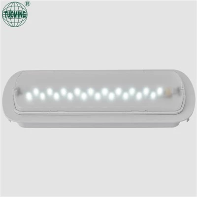 Wall Mounted Emergency Exit Light