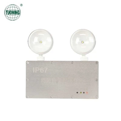 Wall-mounted IP67 Dual-head Light